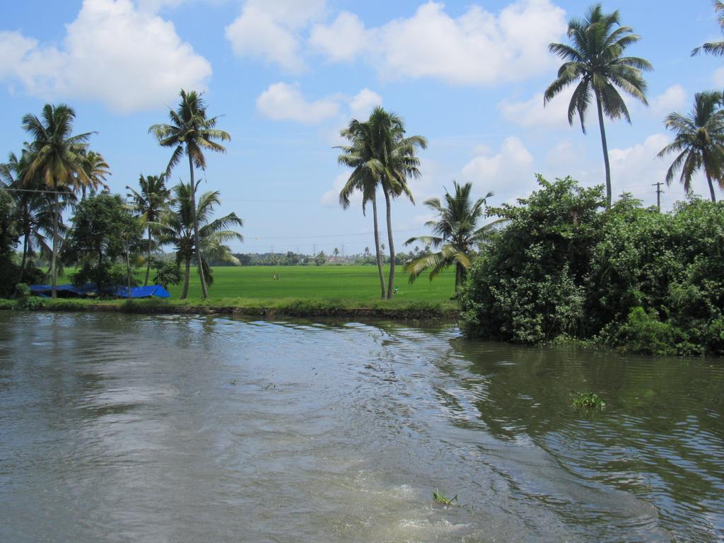 Marari Dreamz Alappuzha Quarto foto