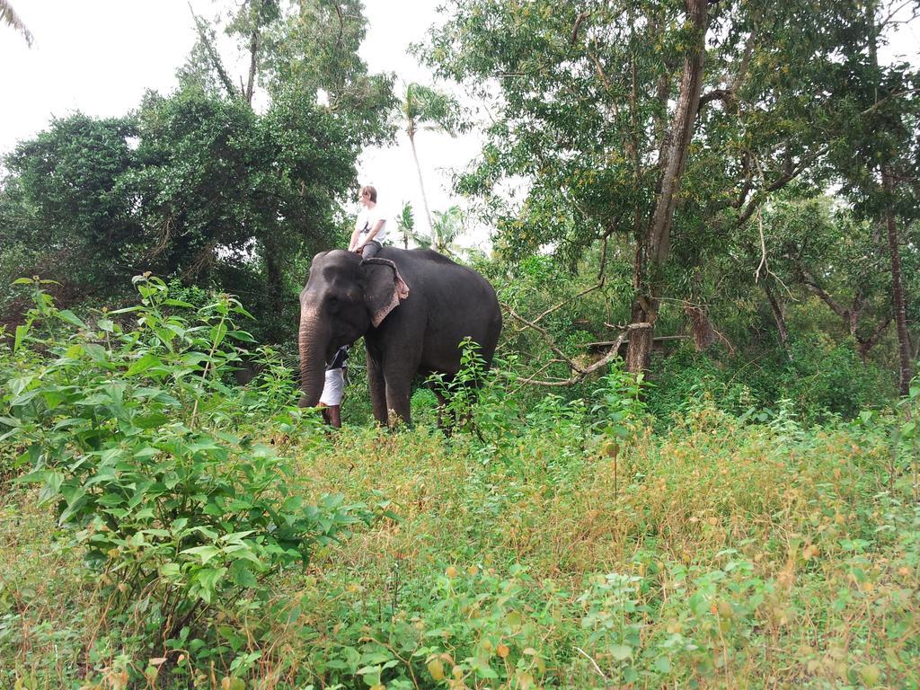 Marari Dreamz Alappuzha Quarto foto